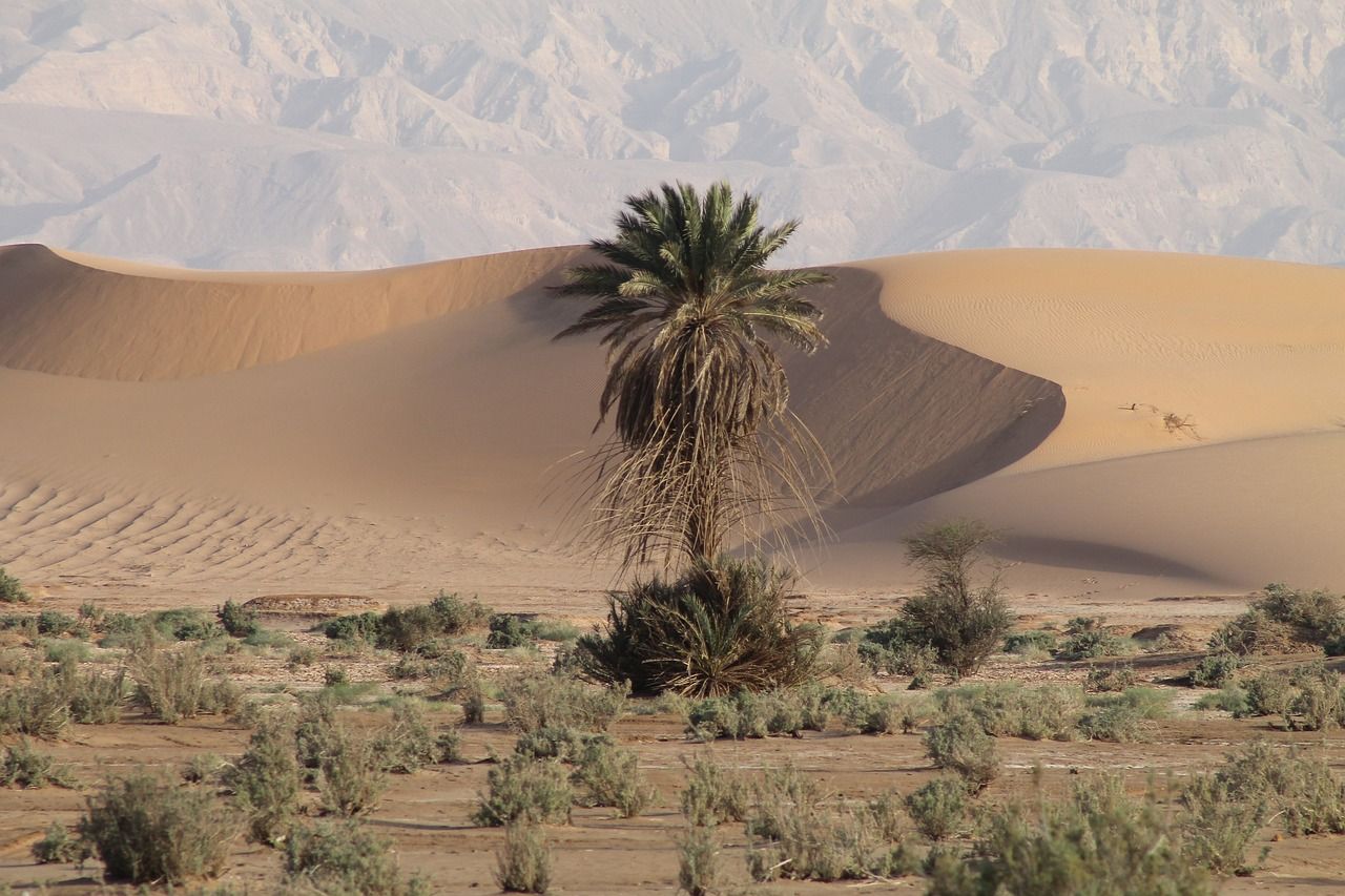 De magische Oman-tenten in de woestijn