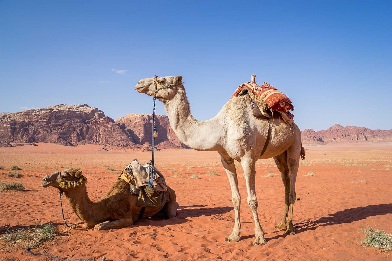 De verrassende geschiedenis van de Etihad Towers