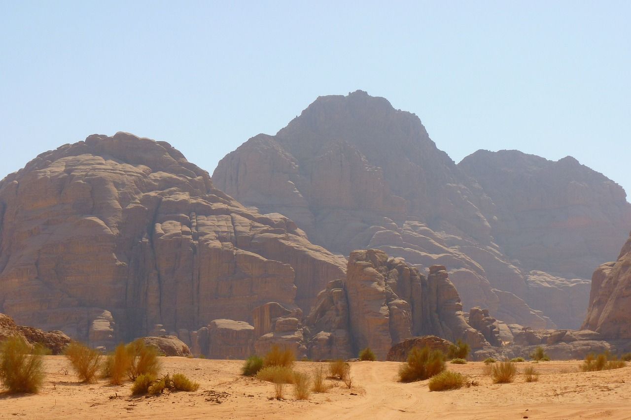 Vissen in de wateren van Qatar